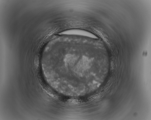 X0000094820211200712141652