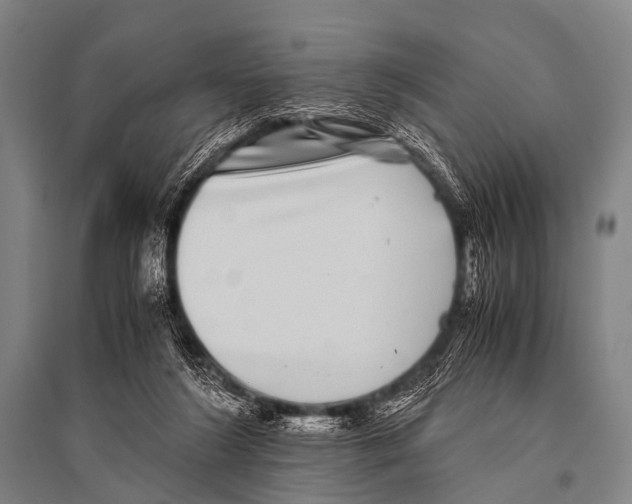 X0000094820212200712141652