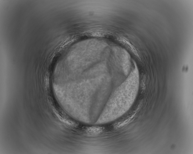 X0000094820213200712141652