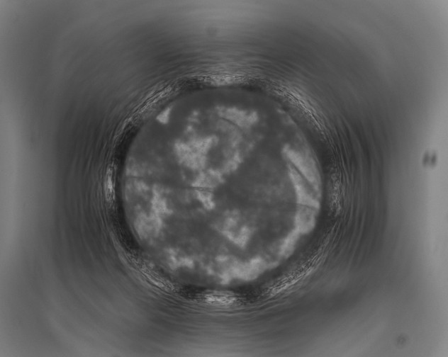 X0000094820214200712141652