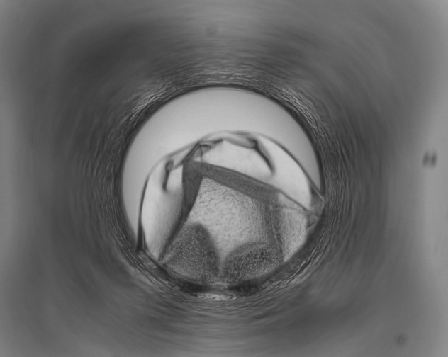 X0000094820215200712141652