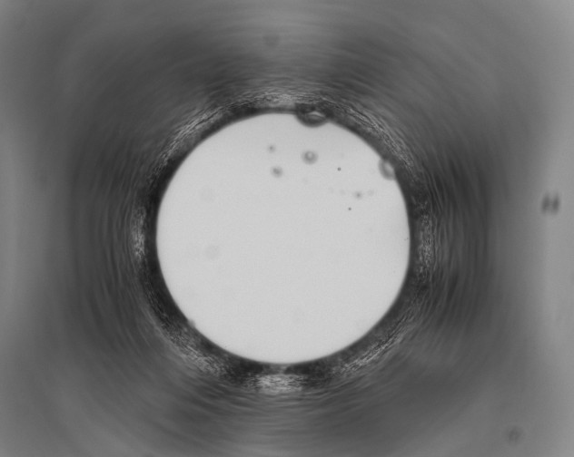 X0000094820216200712141652