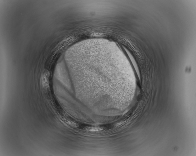 X0000094820217200712141652