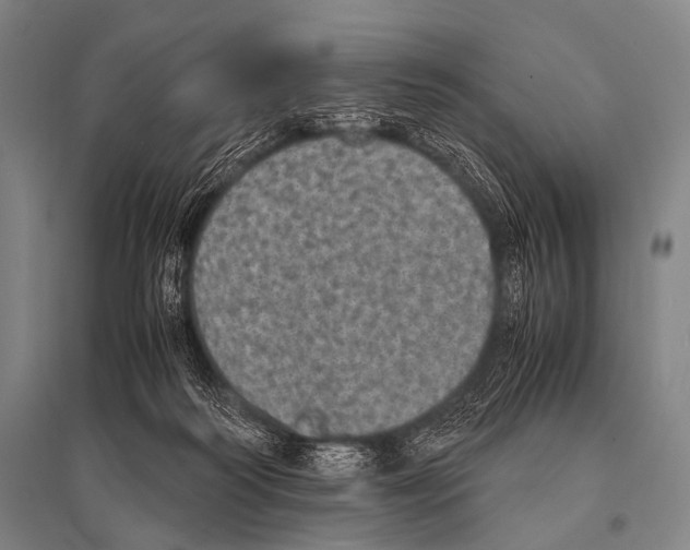 X0000094820218200712141652