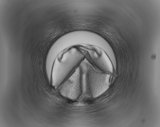 X0000094820219200712141652