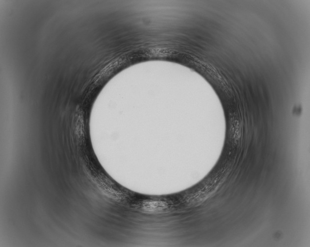 X0000094820220200712141652