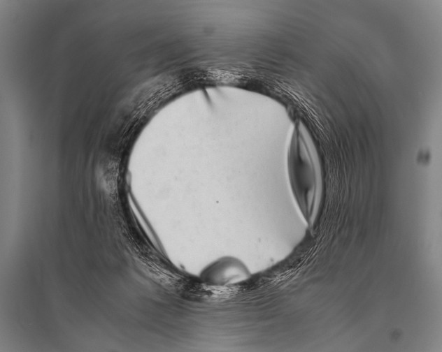 X0000094820221200712141652