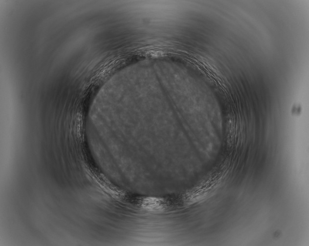 X0000094820222200712141652