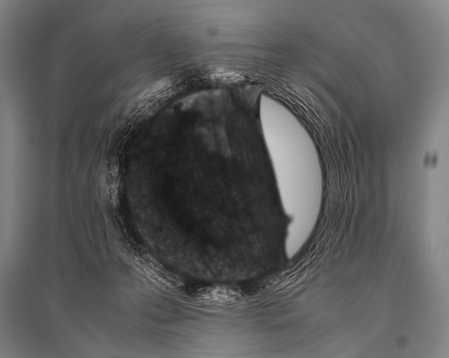 X0000094820223200712141652