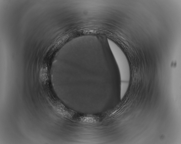 X0000094820224200712141652