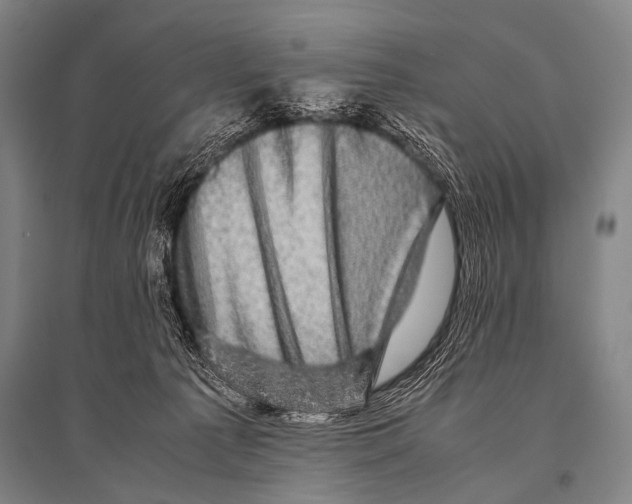 X0000094820225200712141652