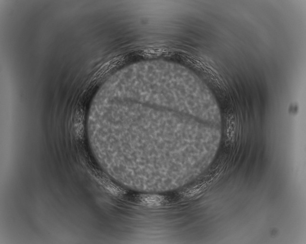 X0000094820226200712141652