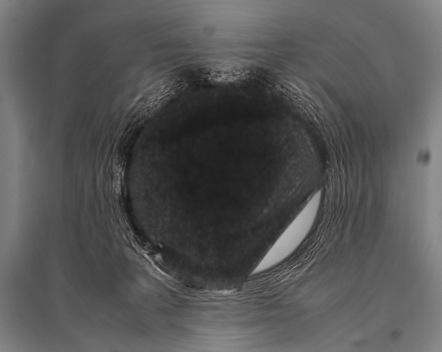 X0000094820227200712141652