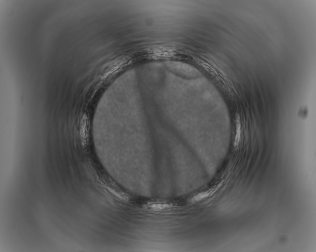 X0000094820228200712141652