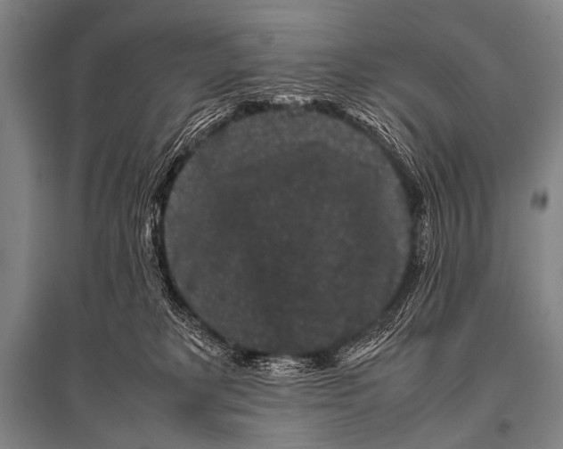 X0000094820229200712141652