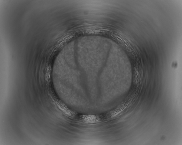 X0000094820230200712141652