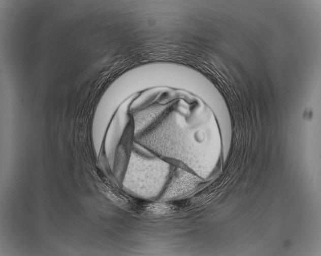 X0000094820231200712141652