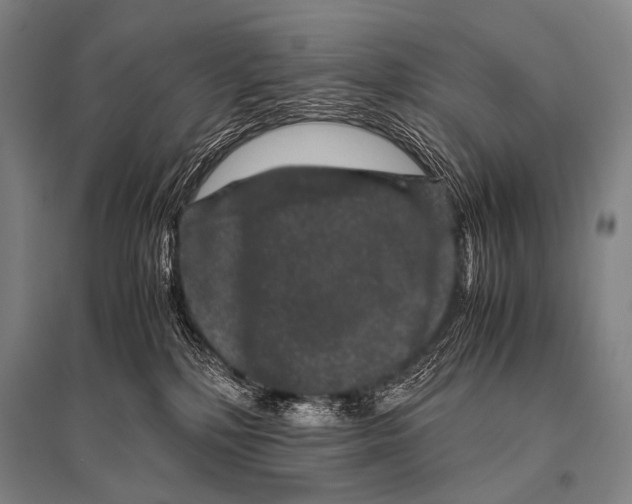 X0000094820232200712141652