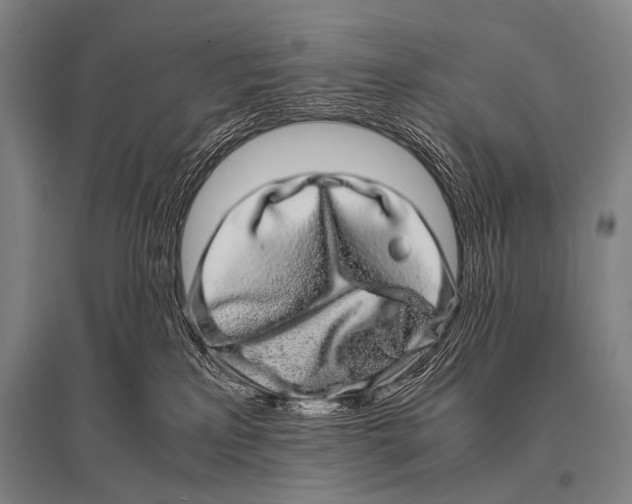 X0000094820233200712141652