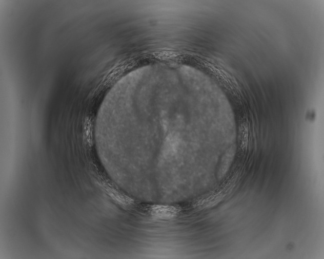 X0000094820234200712141652