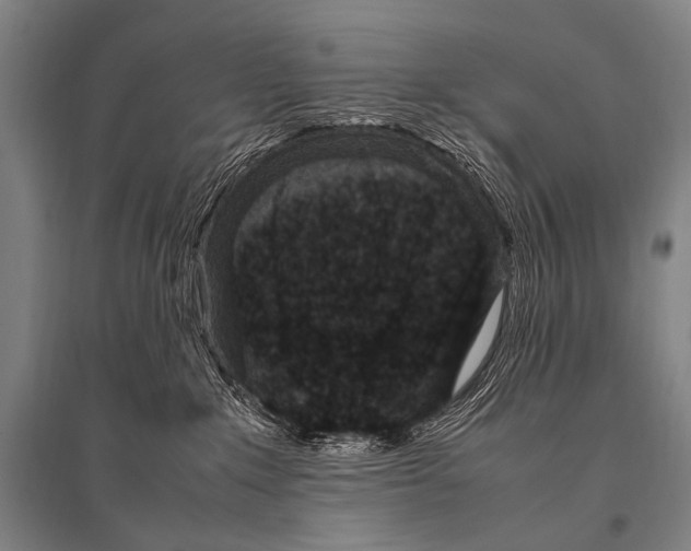 X0000094820235200712141652