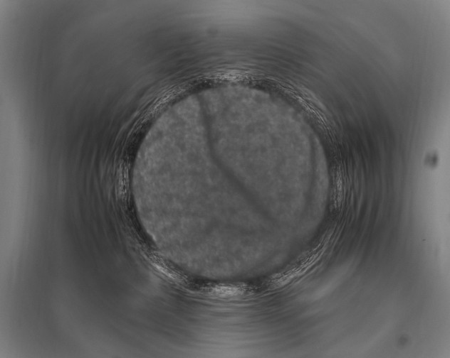 X0000094820236200712141652