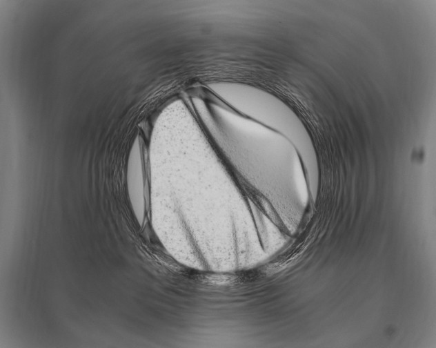 X0000094820237200712141651