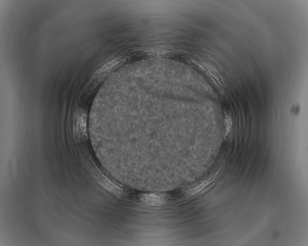 X0000094820238200712141651
