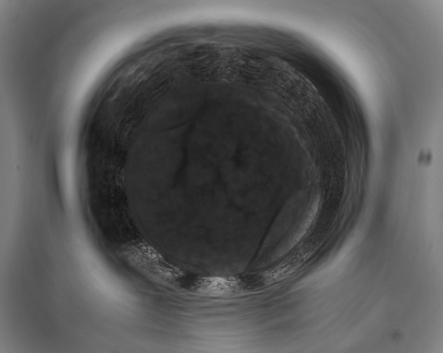 X0000094820239200712141651