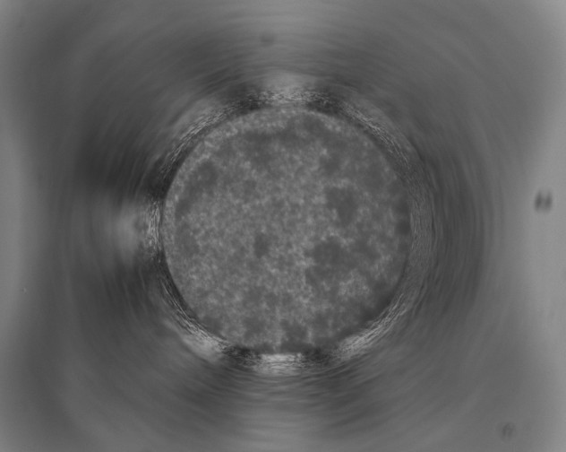 X0000094820240200712141651