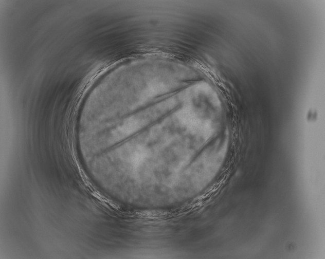 X0000094820241200712141651