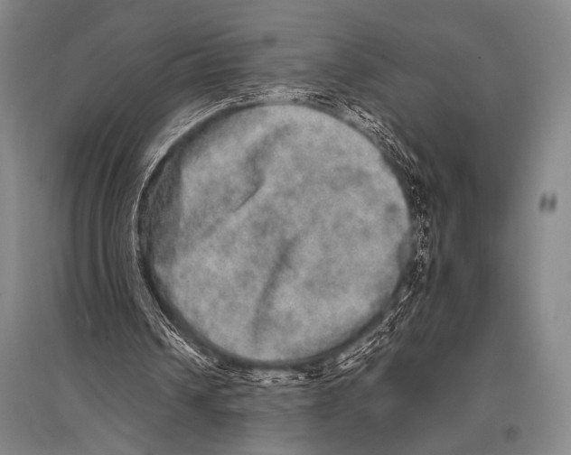 X0000094820242200712141651