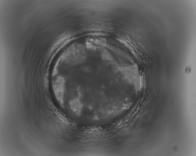 X0000094820243200712141651