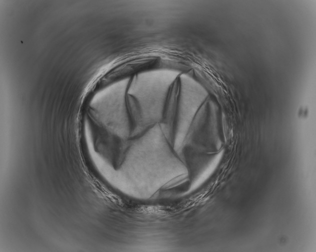 X0000094820244200712141651