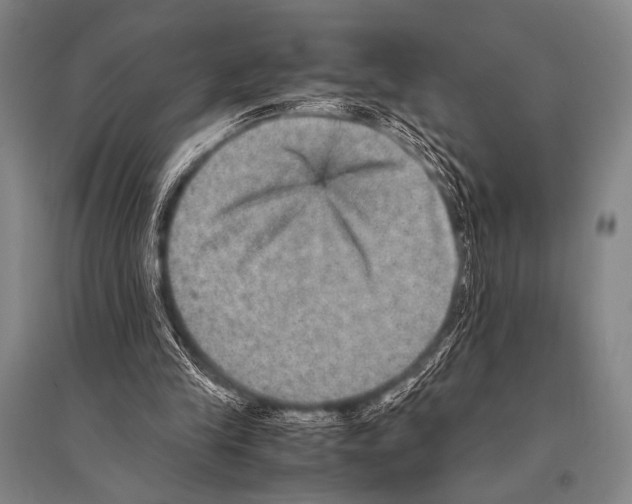 X0000094820245200712141651