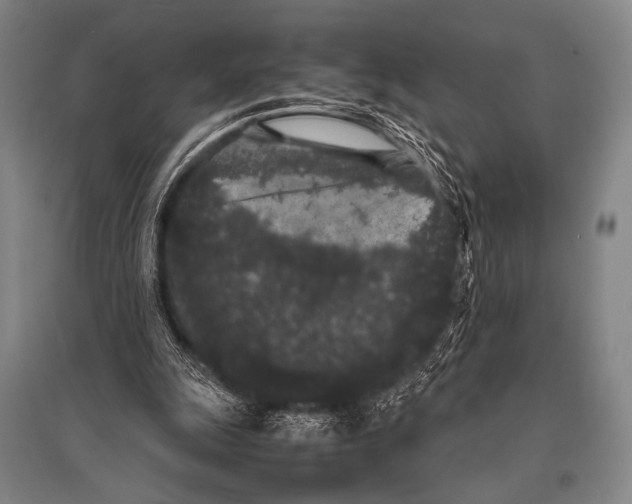 X0000094820247200712141651