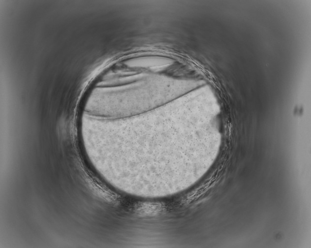 X0000094820248200712141651