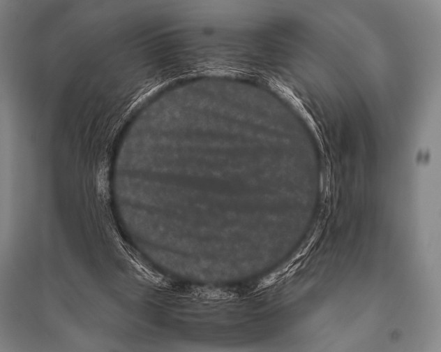 X0000094820249200712141651