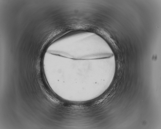 X0000094820250200712141651