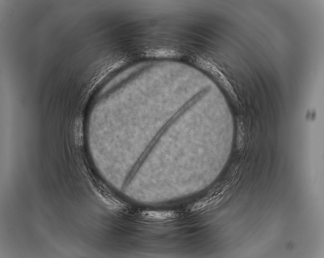 X0000094820251200712141651