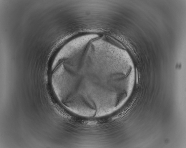 X0000094820252200712141651