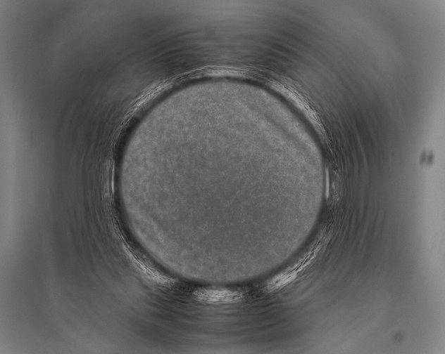 X0000094820253200712141651