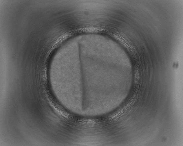 X0000094820254200712141651