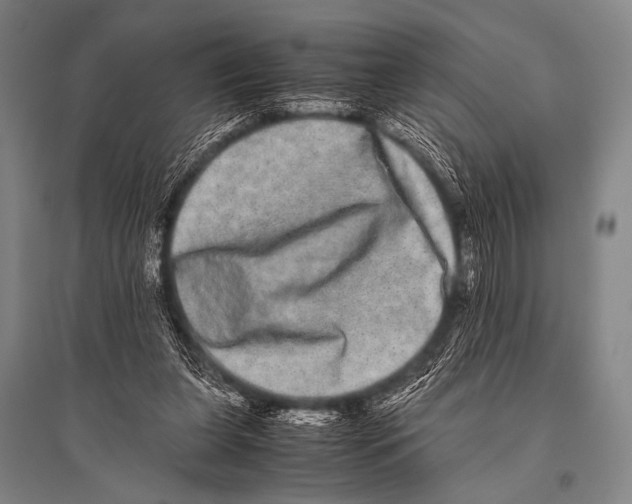 X0000094820255200712141651