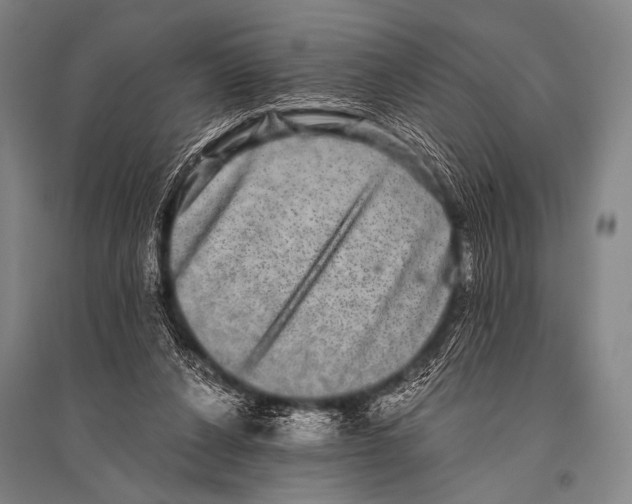 X0000094820256200712141651