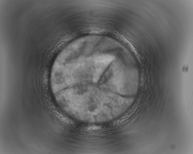 X0000094820257200712141651