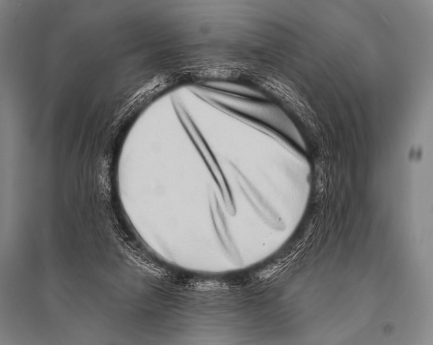 X0000094820258200712141651