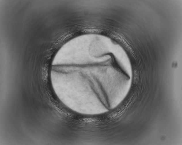 X0000094820259200712141651