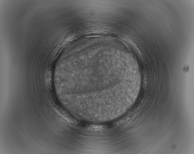 X0000094820260200712141651