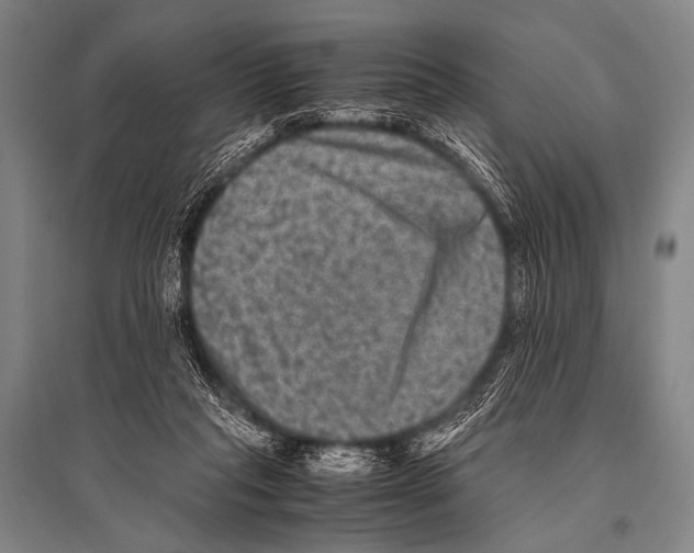 X0000094820261200712141651